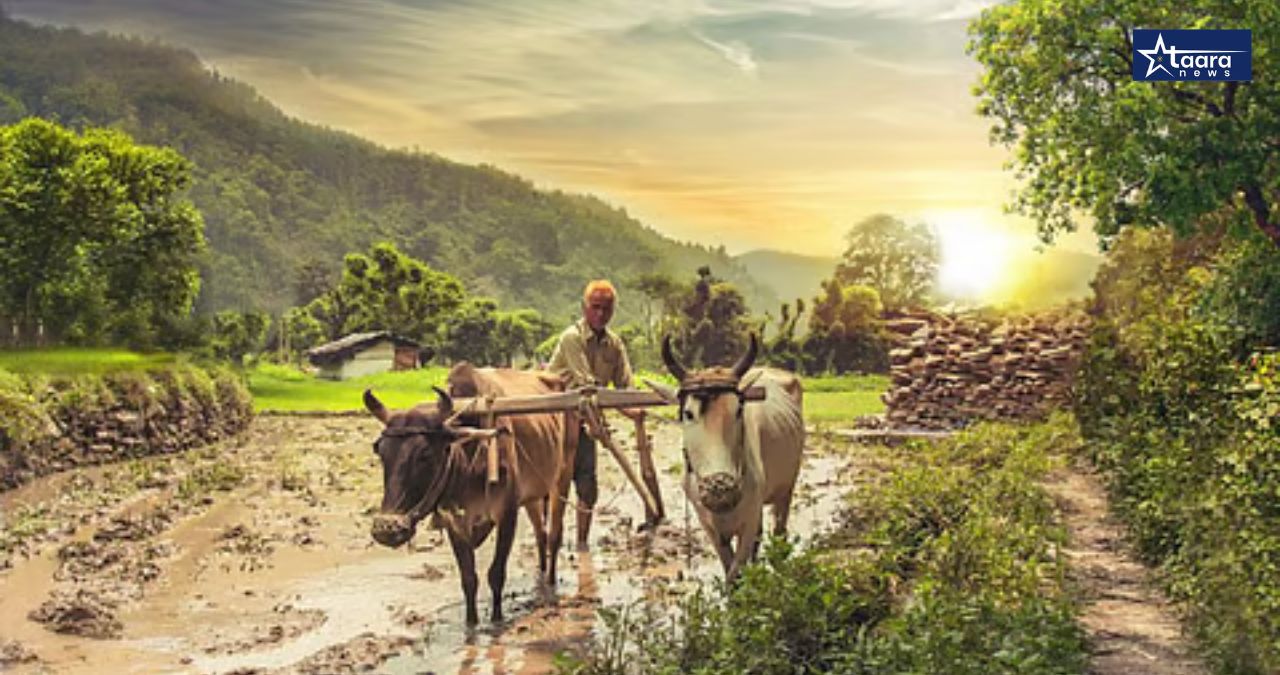 Punyashlok Ahilyadevi Holkar Farmer Loan Waiver Scheme 2026 Big Relief for Farmers